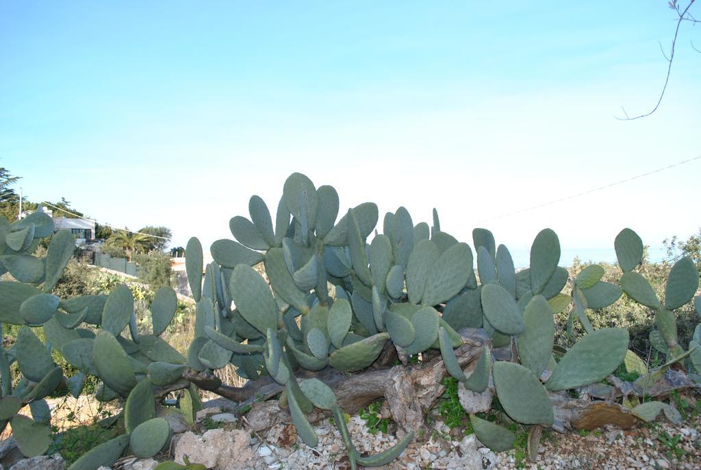 Le Dimore Del Sarto Polignano A Mare Zewnętrze zdjęcie