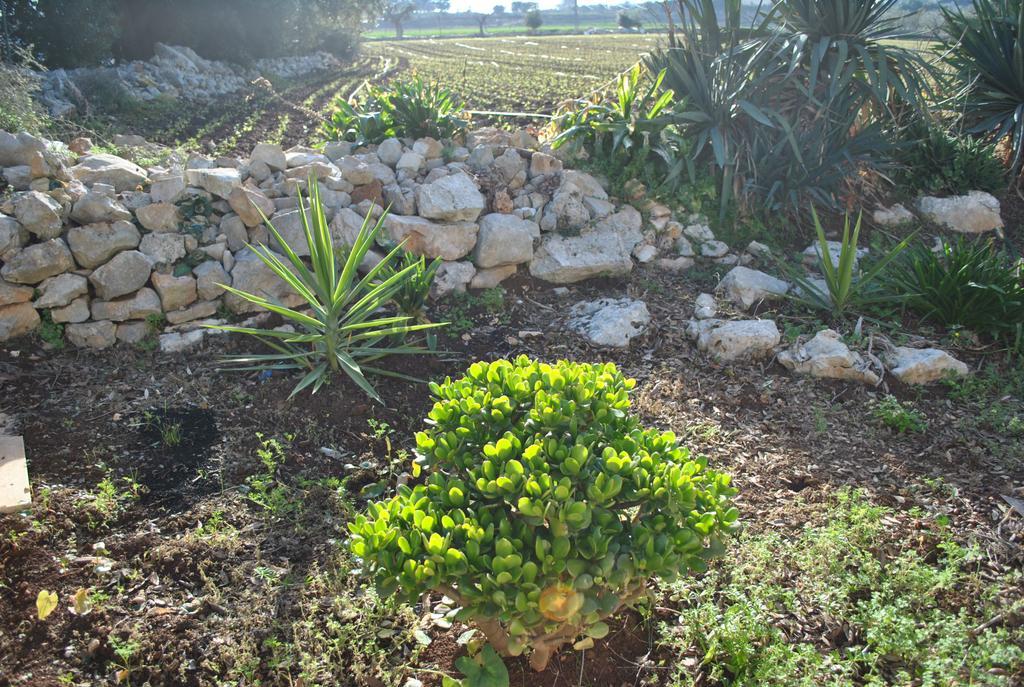 Le Dimore Del Sarto Polignano A Mare Zewnętrze zdjęcie